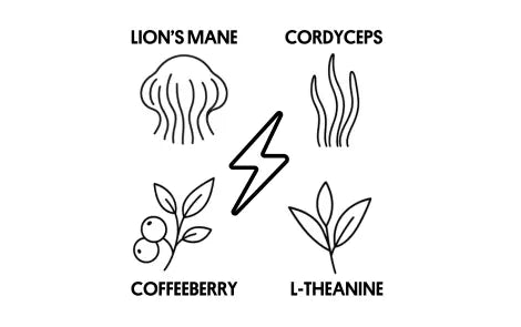 Graphic displaying four key ingredients — Coffeeberry, Lion’s Mane, Cordyceps, and L-Theanine with an energy symbol in the centre.